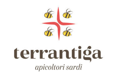 TERRA ANTIGA