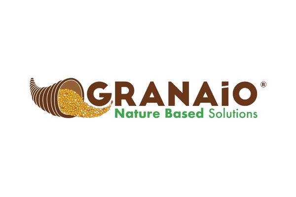 IL GRANAIO DELLE IDEE